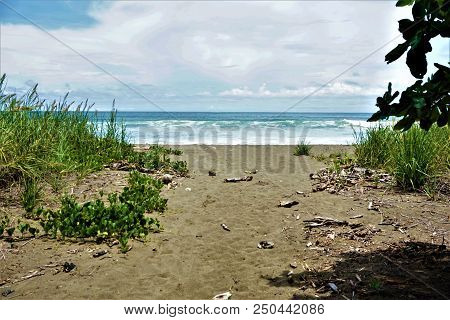 Dominical Beach Of Hacienda Baru, Costa Rica