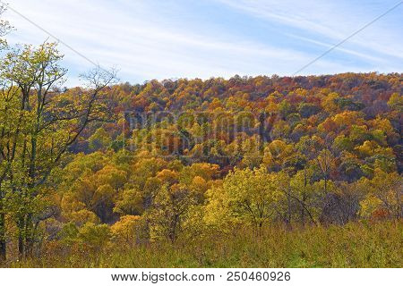 Foothills With Forest In Autumn Colors. Deciduous Forest In Late Autumn.
