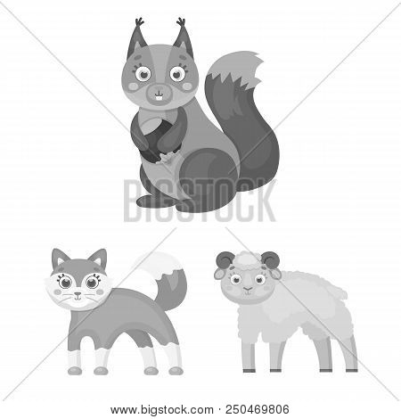 Toy Animals Monochrome Icons In Set Collection For Design. Bird, Predator And Herbivore Vector Symbo