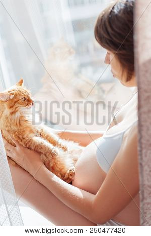 Pregnant Woman In White Underwear With Cute Ginger Cat. Young Woman Expecting A Baby. Risk Of Infect