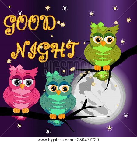 Good Night Card With Moon And Cute Owl