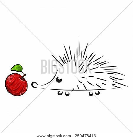 Hedgehog With An Apple. Vector Of A Hedgehog.  Hand Drawn Funny, Cartoon Hedgehog With A Red Apple O