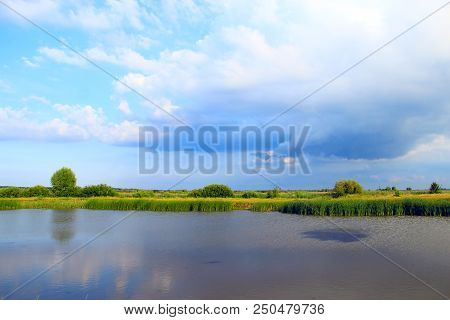 Landscape With Lake Surrounded With Cane. Brushwood Of Rush In Lake. Beautiful Natural Landscape Wit