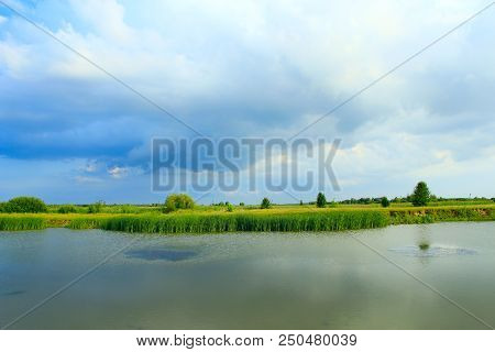 Landscape With Lake Surrounded With Cane. Brushwood Of Rush In Lake. Beautiful Natural Landscape Wit