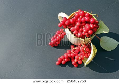 Red Schizandra In Cup On Dark Background. Crop Of Schizandra. Berries Of Schizandra. Ripe Schicandra