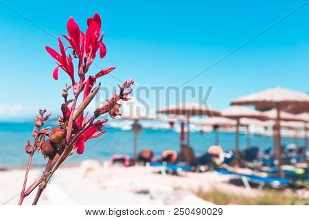 Beautiful View Of The Beach