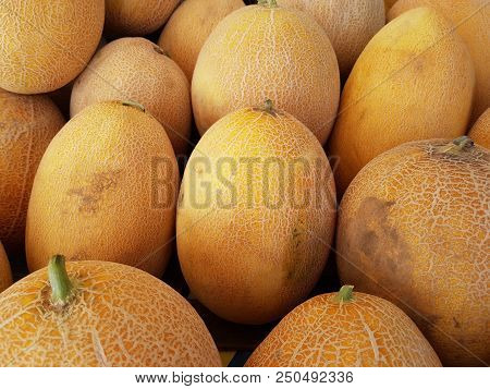 A Lot Of Ripe Melon Is Sold On The Market. Summer Fruit Season