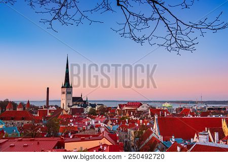 Beautiful View To The Old Rown Of Tallinn From The City Wall At Sunset