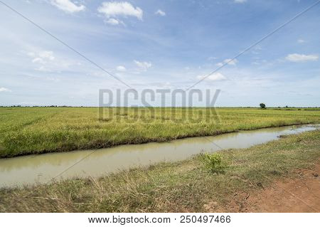 Cambodia Kampong Thom Agriculture Water Canal