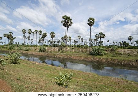 Cambodia Kampong Thom Agriculture Water Canal