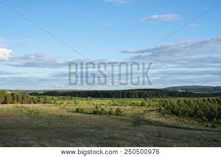 Field Of Grass And Perfect Sky. Wild Nature.