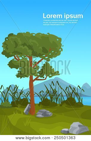 Landscape Pine Mountain River Reed Outdoor Nature Background Flat Vertical Copy Space Vector Illustr