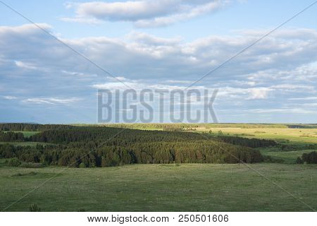 Field Of Grass And Perfect Sky. Wild Nature.