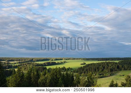 Field Of Grass And Perfect Sky. Wild Nature.