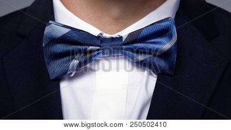 Beautiful Blue Bow Tie