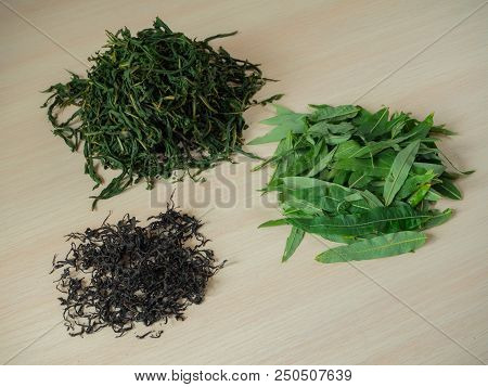 Stages Of Production Of Fermented Tea Leaves. Fermented Ivan-tea