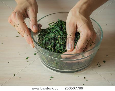Fermentation Process Of Tea Leaves. Manual Production Koporye Tea - Ivan Tea
