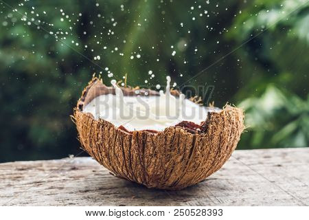Coconut Fruit And Milk Splash Inside It On A Background Of A Palm Tree.