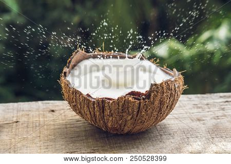 Coconut Fruit And Milk Splash Inside It On A Background Of A Palm Tree.