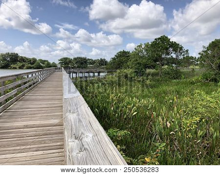 Raised Walking Path In A Swamp