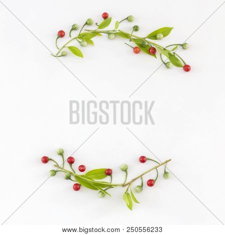 Flat Lay Of Frame Wreath Made From Thai Herbs (solanum Trilobatum L.). Top View.