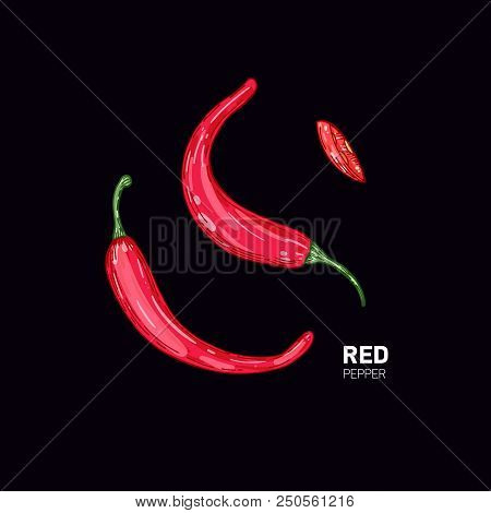Red Hot Pepper On Black Background. Vector Color Illustration. Healthy Organic Food.