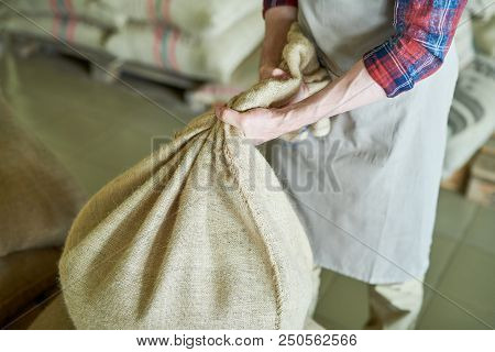 Mid Section Closeup Coffee Roaster Wearing Apron Carrying Burlap Bags With Coffee In Artisan Roaster