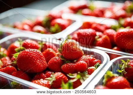 Close Up Of Fresh Red Ripe Strawberries In Transparent Plastic Container Boxes On Retail Market Disp