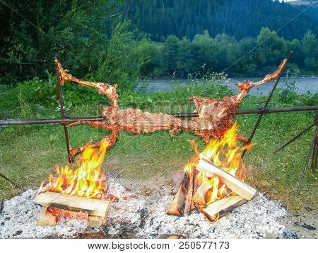 Partially Cropped Carcass Of The Sheep On A Rotating Spit During Cooking Over Open Fire Outdoor