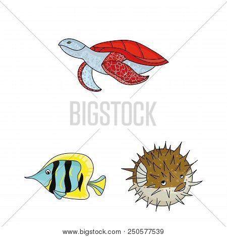 A Variety Of Marine Animals Cartoon Icons In Set Collection For Design. Fish And Shellfish Vector Sy
