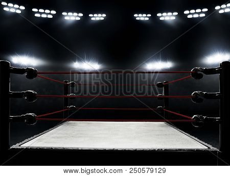 View Of Empty Professional Area Boxing Ring