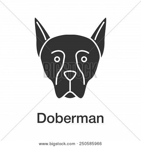 Doberman Pinscher Glyph Icon. Guardian Dog Breed. Silhouette Symbol. Negative Space. Vector Isolated