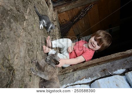 Little Girl Is Playing With A Gray Cat 2018