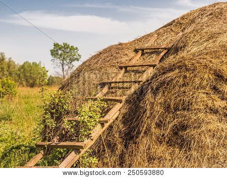 Hayrick In A Village Farm With A Ladder