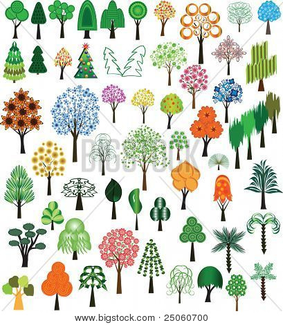 Set di vettore degli alberi per il design