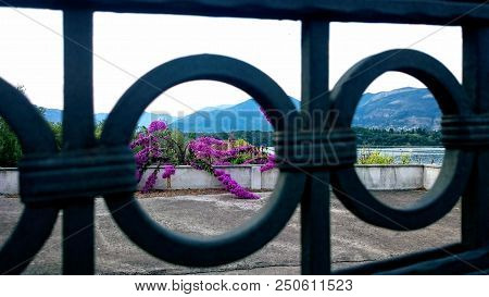 Lilac Flowers And Gating Against Hills, Montenegro