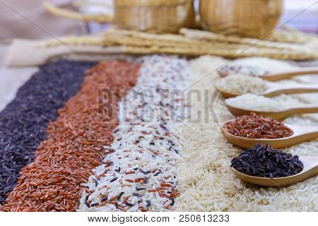 Five Kinds Of Rice On Wooden Spoon.