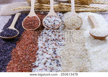 Five Kinds Of Rice On Wooden Spoon.