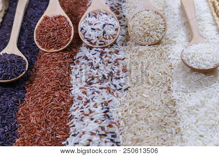 Five Kinds Of Rice On Wooden Spoon.