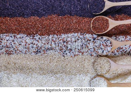 Five Kinds Of Rice On Wooden Spoon.