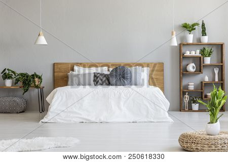 Plant On Pouf In Bright Bedroom Interior With Pillows On Bed With Wooden Headboard. Real Photo