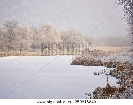 Beautiful Winter Landscape In The City Park.