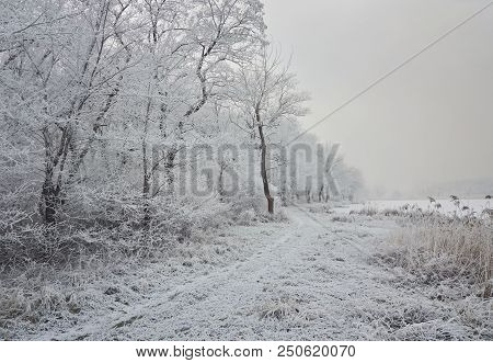 Beautiful Winter Landscape In The City Park.