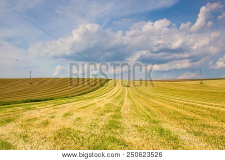Harvested Empty Field On The Hills At Sunset.
