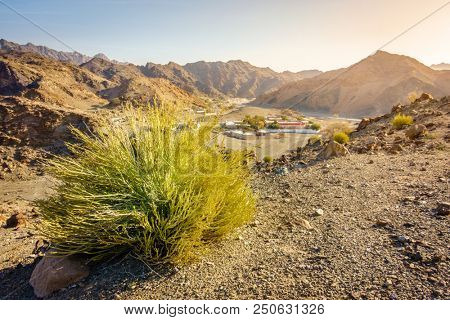 Scenic overlook of Al Hajar mountains in the emirate of Fujeirah, UAE and a village in a valley