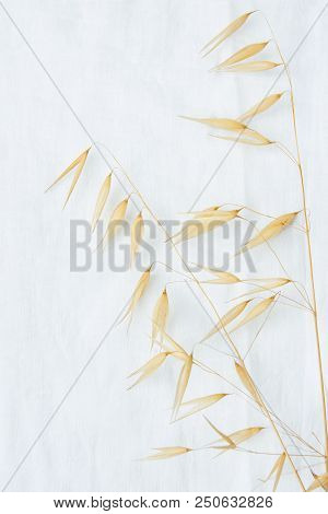 Beautiful Autumnal Easter Wedding Background. Dry Wild Oats Beige Yellow Flowers On White Linen Fabr