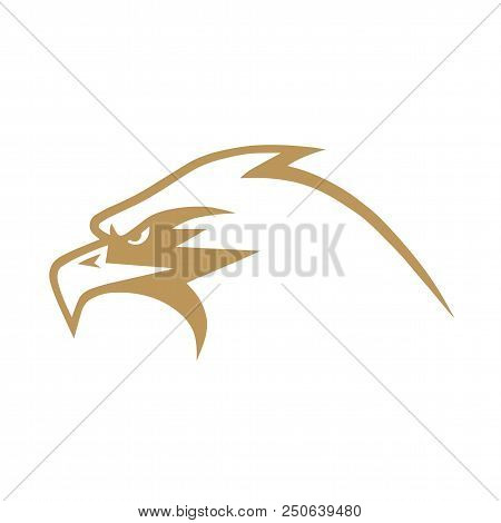 Old Eagle Logo Design Vector Illustration Mascot