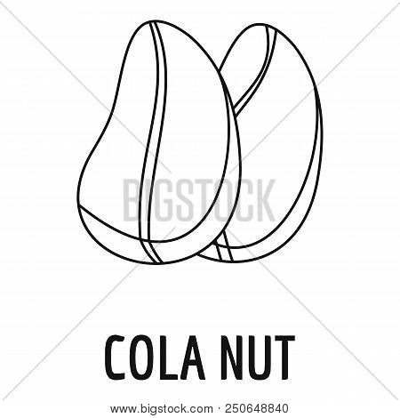 Cola Nut Icon. Outline Illustration Of Cola Nut Vector Icon For Web Design Isolated On White Backgro