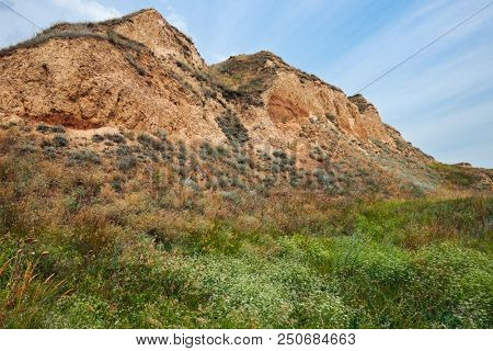 wildflowers on high coast by the sea, beautiful summer landscape, travel concept