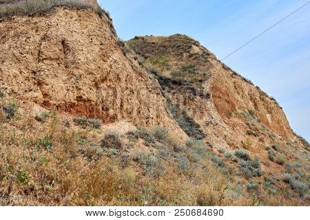 wildflowers on high coast by the sea, beautiful summer landscape, travel concept